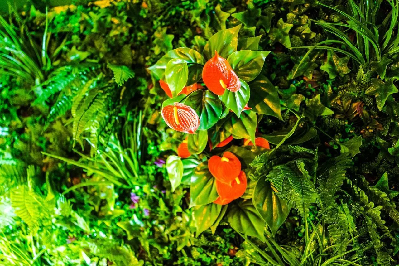 בית נופש הוילה צ'סטר The Jungle Hut